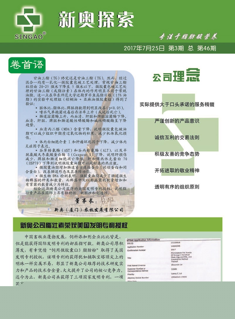 2025澳门天天有好彩，详细解答、精准解答解释落实