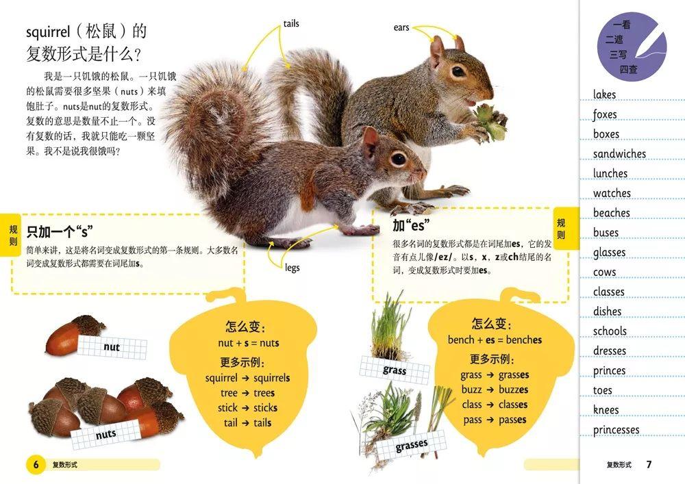 新澳天天开奖资料大全旅游攻略，全面释义、实证解答解释落实